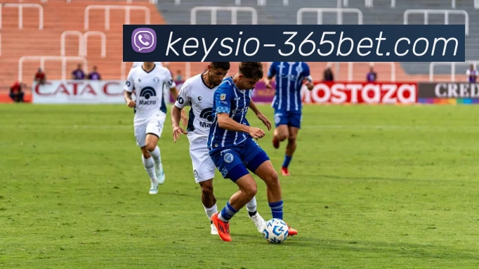 365bet平台生态图